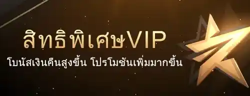 สิทธิพิเศษ VIP